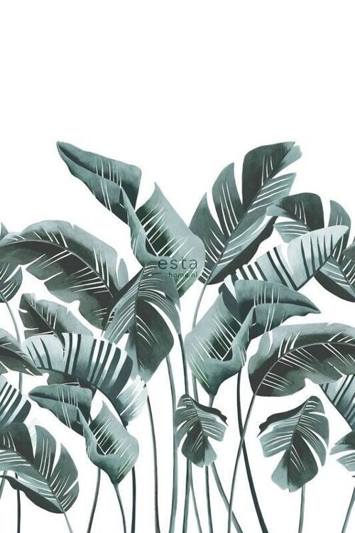 ESTAhome wall mural large banana leaves-158898