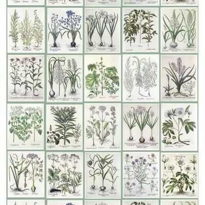 Carta da parati ESTAhome XXL pagine di un libro botanico-158826