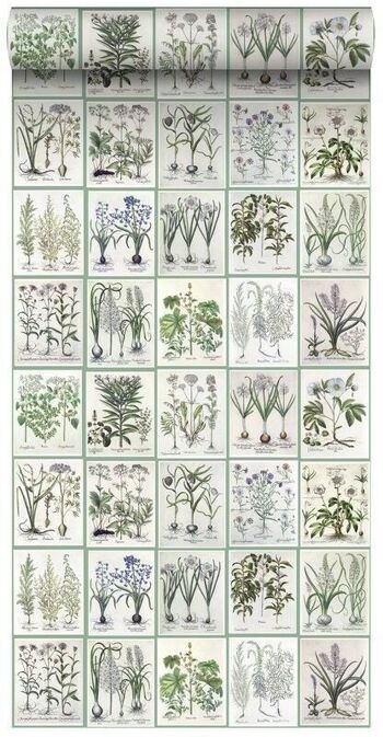 ESTAhome papier peint XXL pages d'un livre botanique-158826