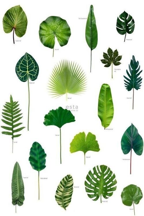 ESTAhome wall mural tropical jungle leaves-158831