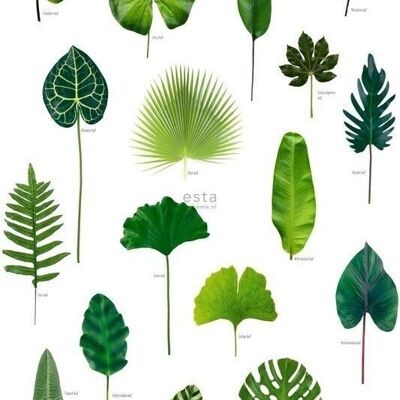 ESTAhome carta da parati foglie giungla tropicale-158831