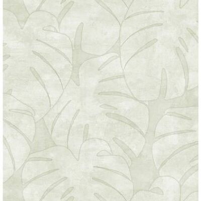 Papel pintado casero hojas de monstera-139002