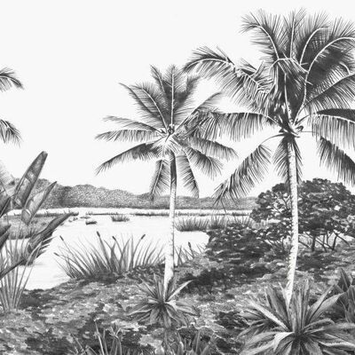 Papier peint Origine paysage avec palmiers-357224