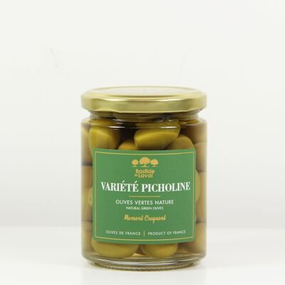 Plain green table olives - Picholine variety / France