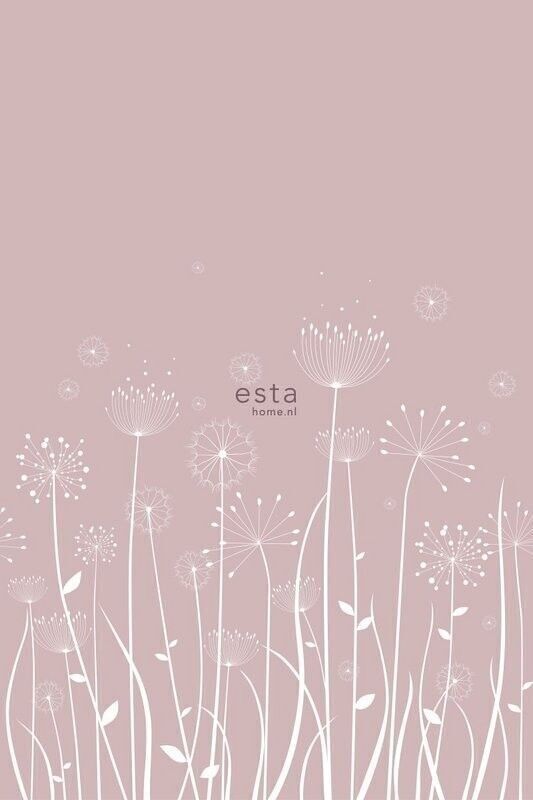 ESTAhome Fototapete Löwenzahn Silhouetten-158905