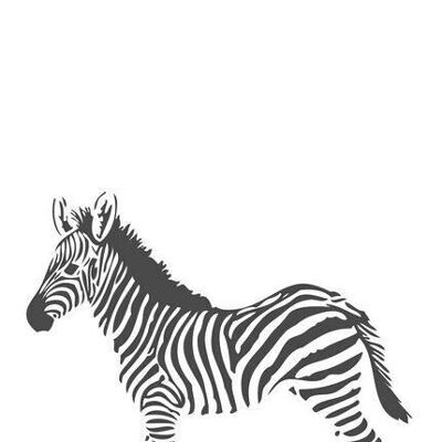 Fotomural Origin zebras-357217