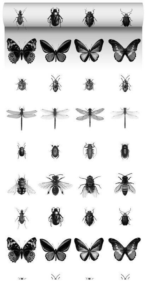 ESTAhome wallpaper XXL pen drawn insects-158827