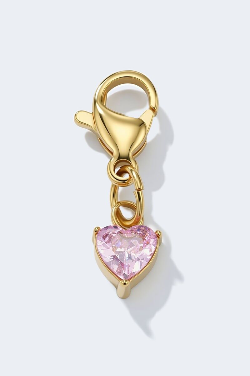 Charm breloque en acier inoxydable CHARM62