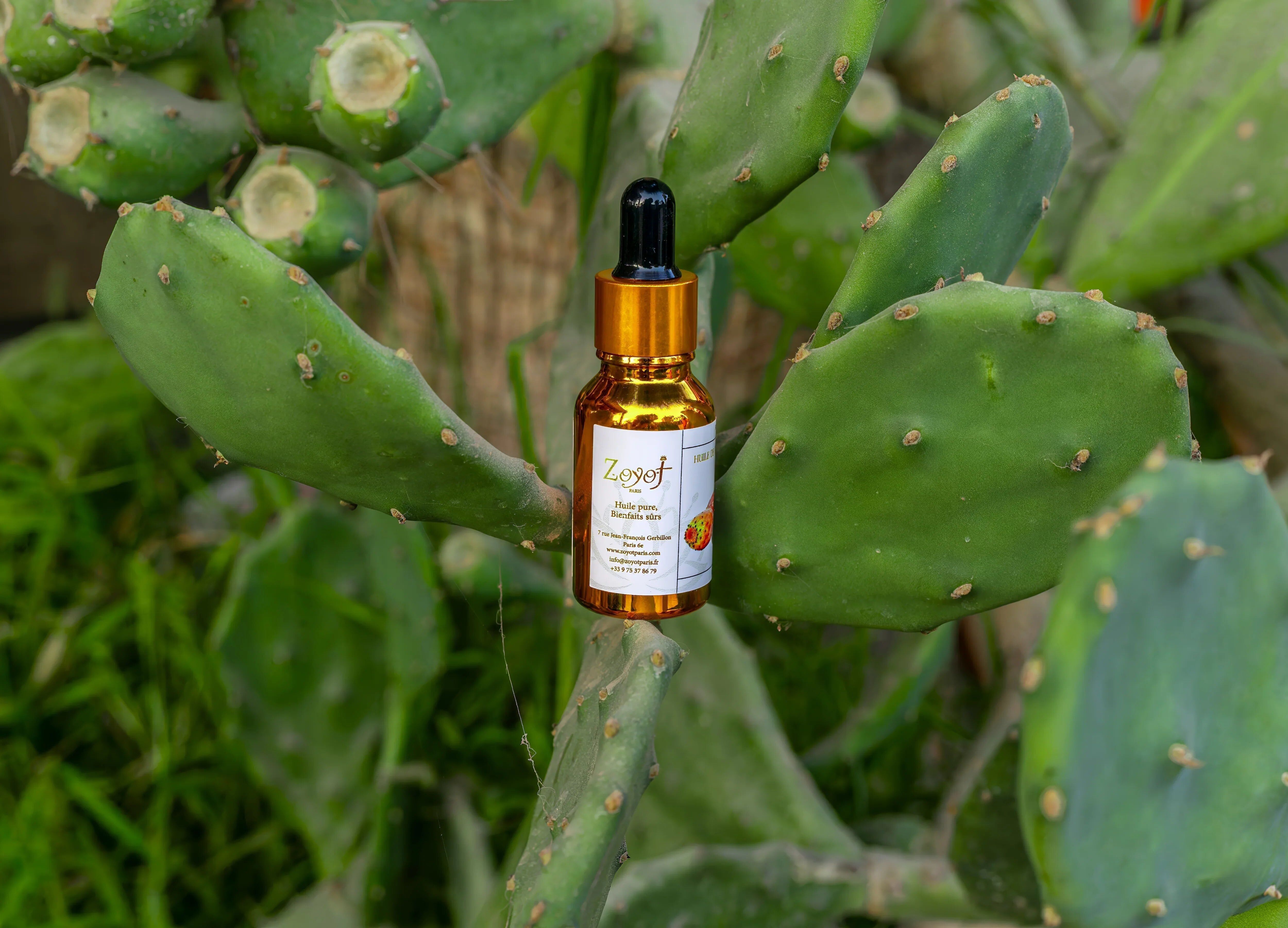 Huile de pépins de figue de barbarie pure du Maroc