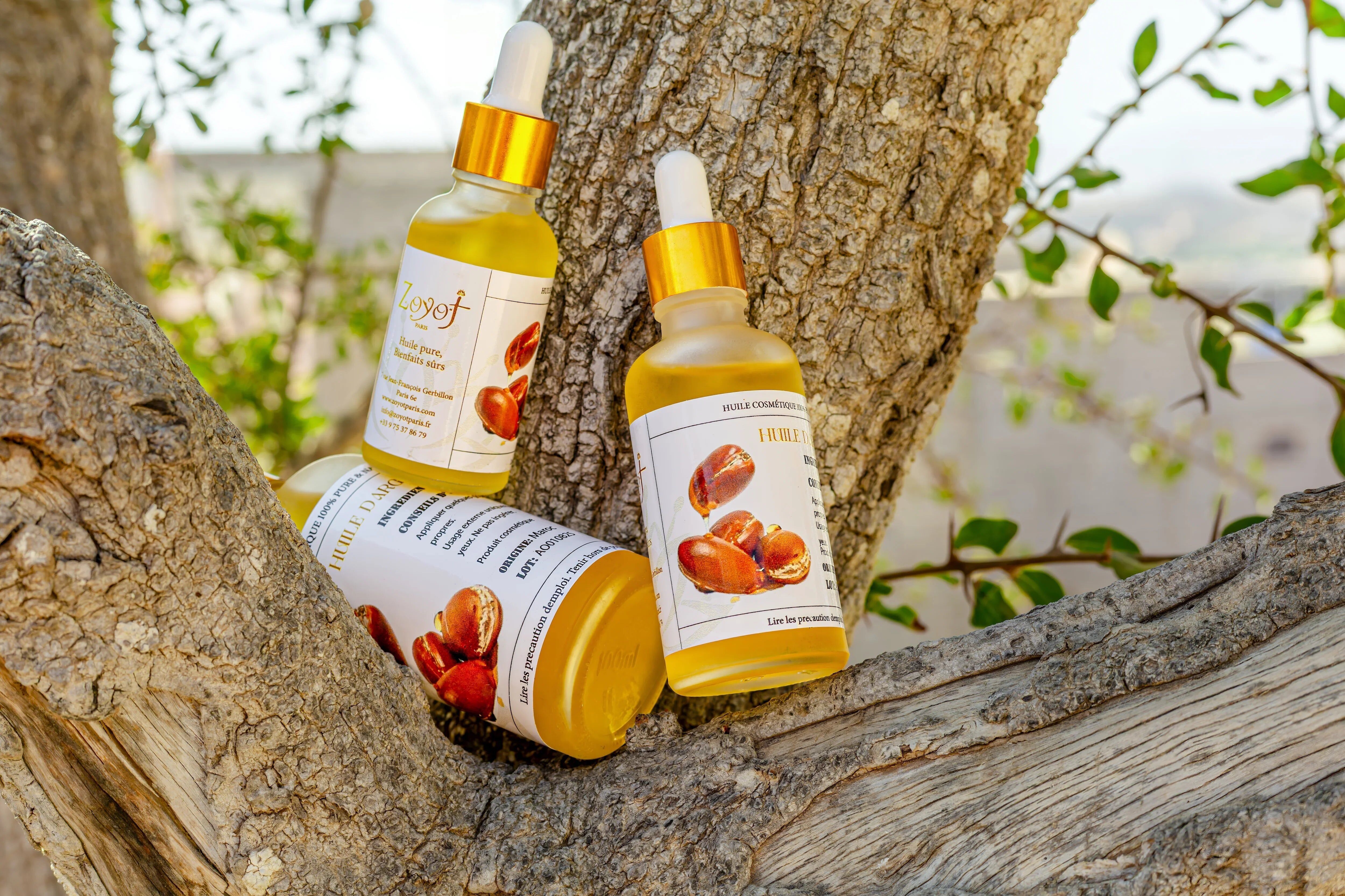 Huile d'argan pure du Maroc