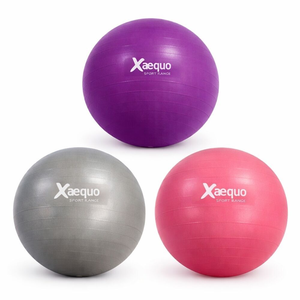 Ballon de Yoga et Pilates 56 cm en PVC – Couleur Aléatoire – Charge Max 150 kg – Fitness, Gainage, Rééducation et Étirements