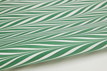 Feuille d'emballage cadeau marbrée à la main - Candy Stripes Green 1