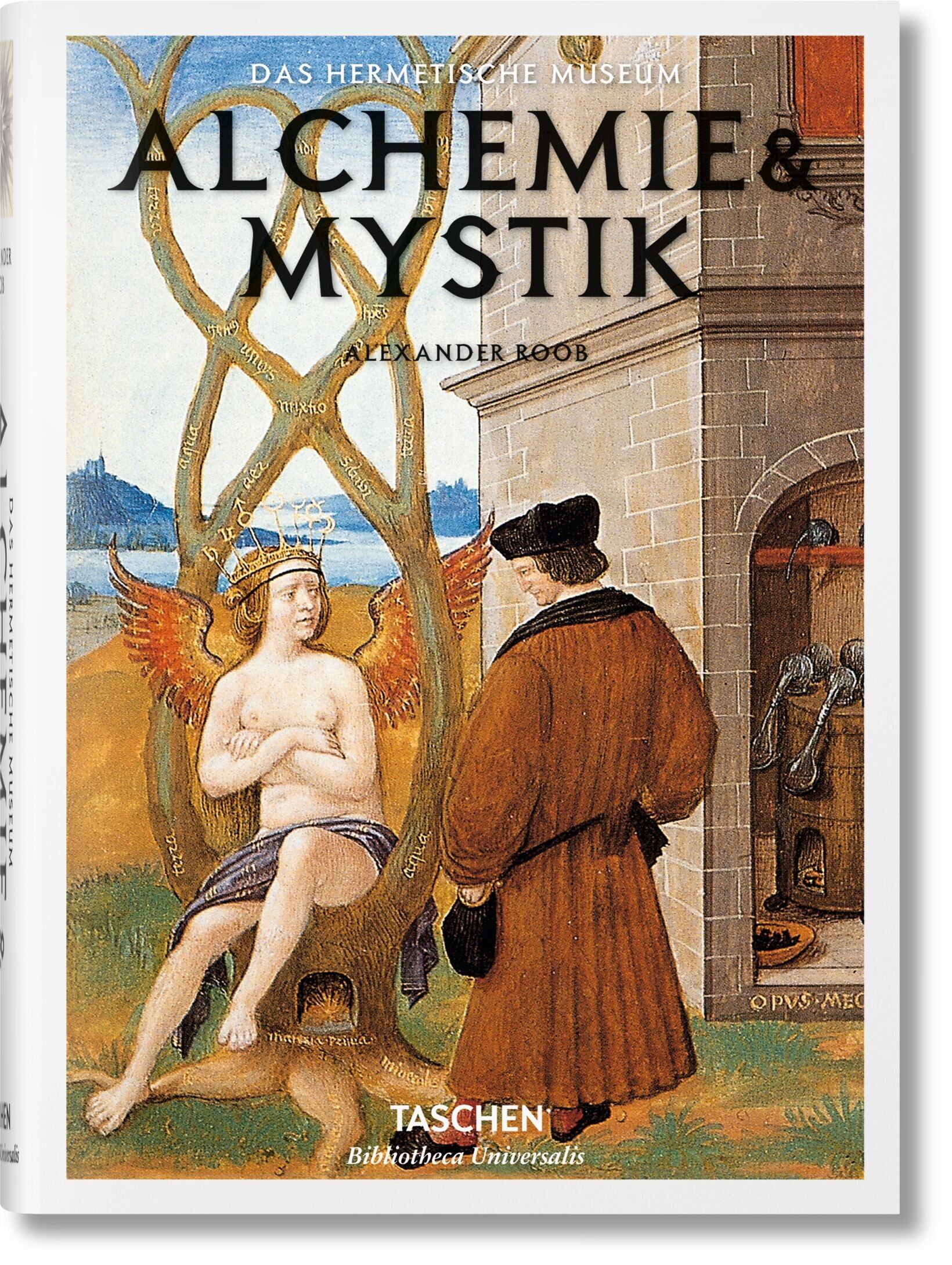 Alchemy & Mysticism (German)