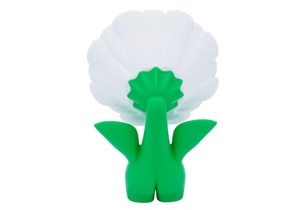 Buy wholesale DAISY