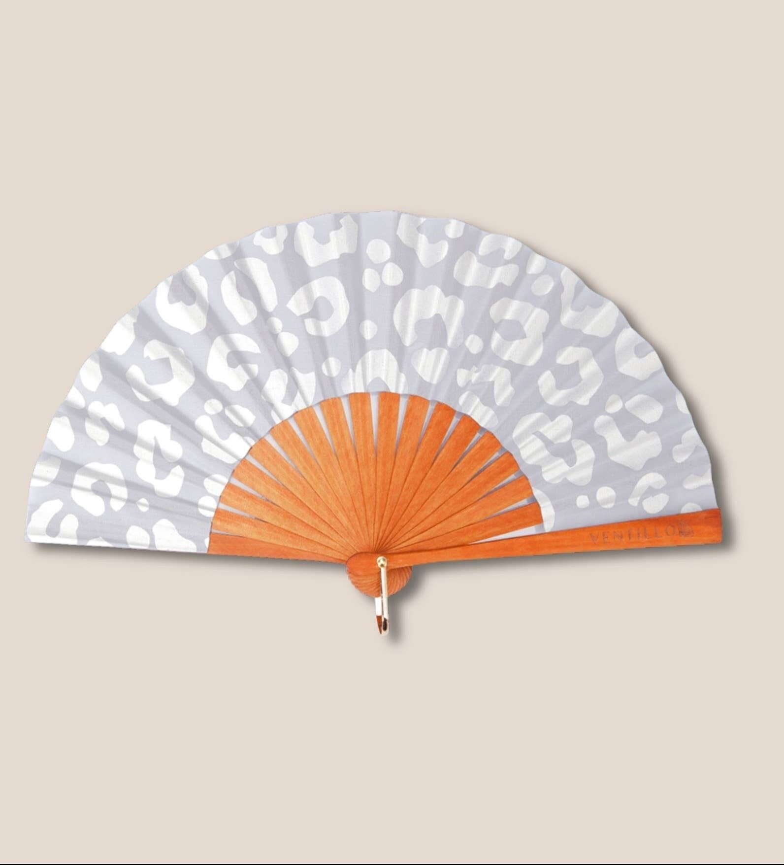 Ventilador Mini 43 Leo gris plata