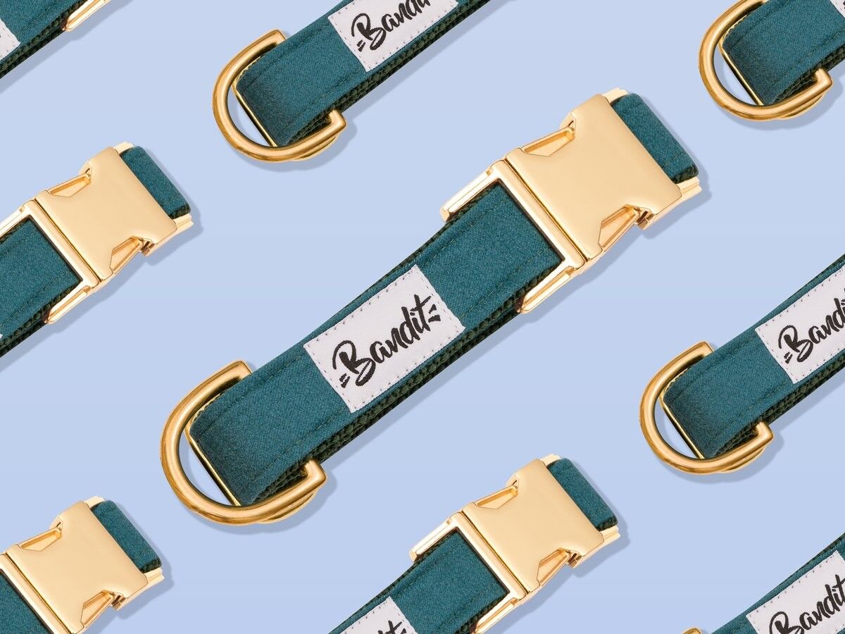 SO GREEN CHIC - Minihund - Ohne Leine