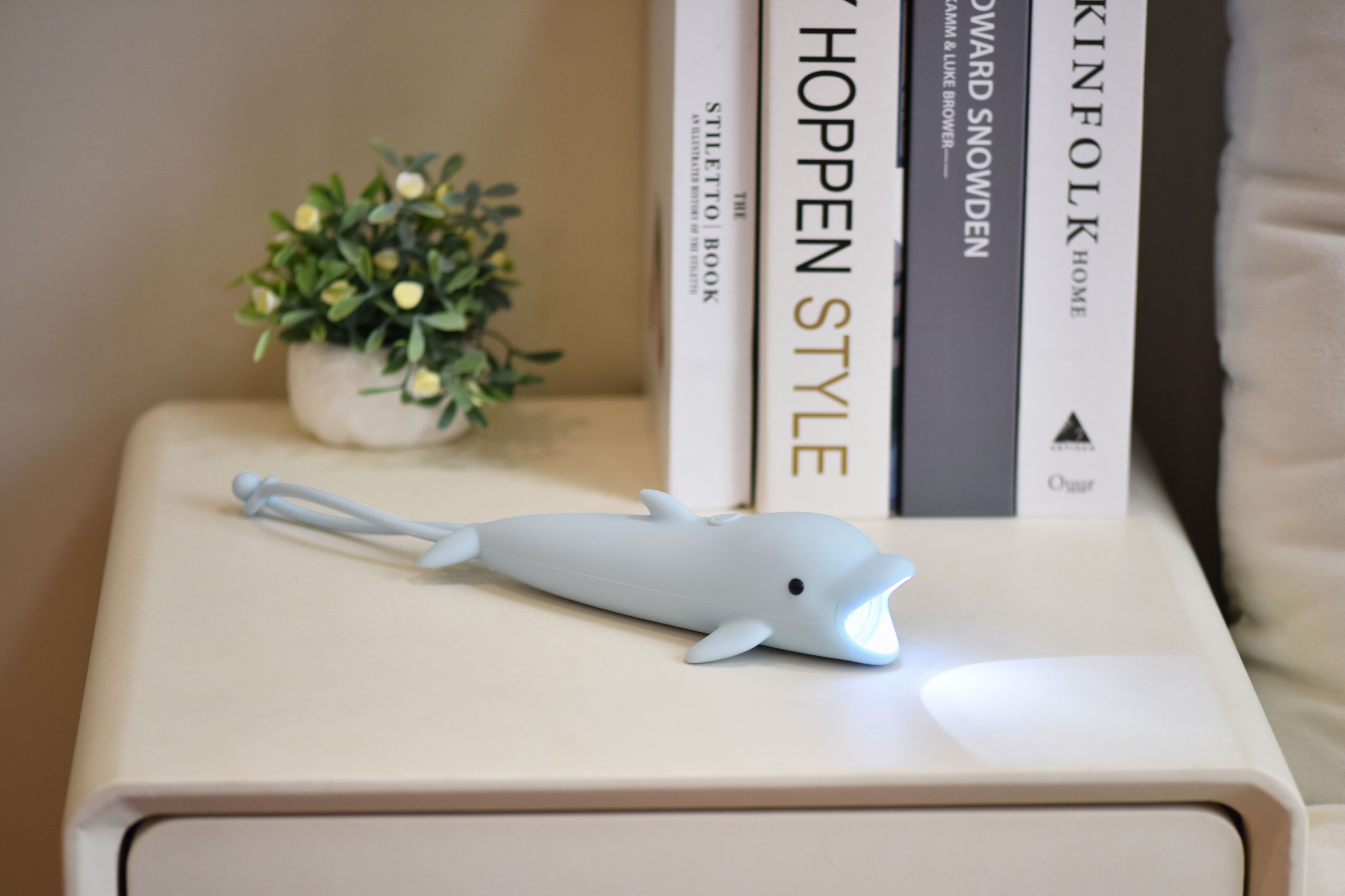 Dolphin flashlight