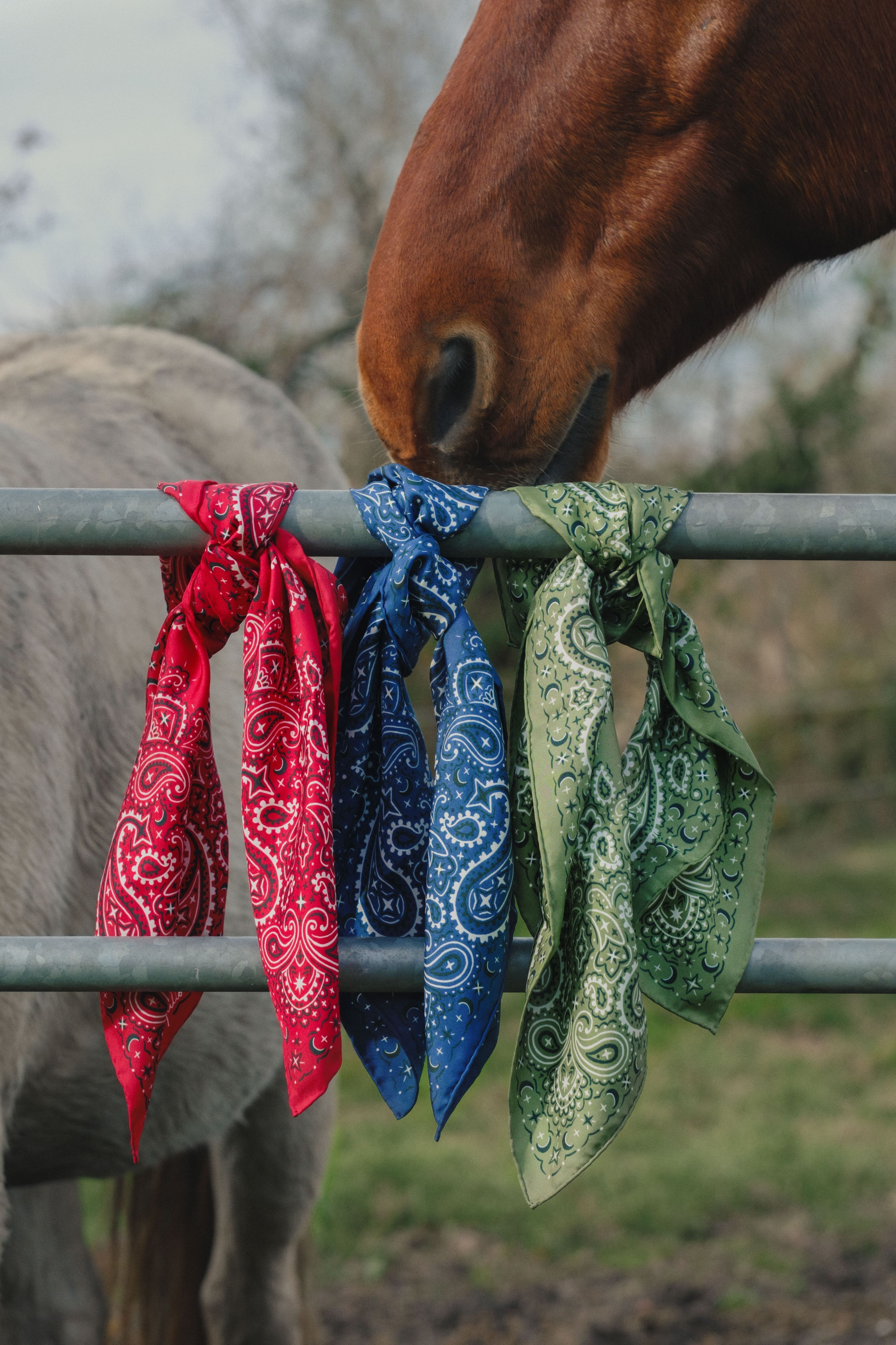 Pure Silk Bandana