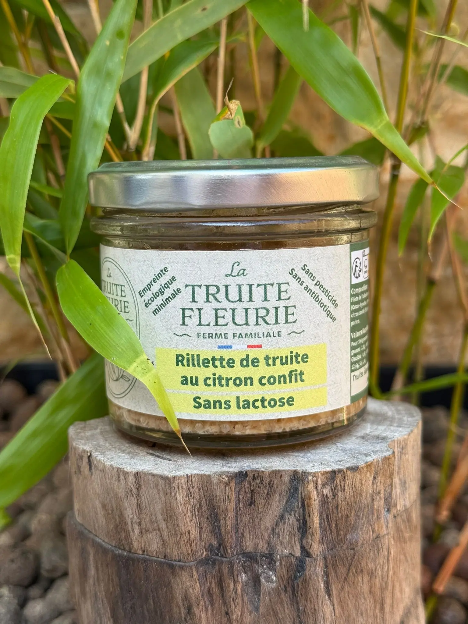 Buy wholesale Rillette de truites au citron confit sans lactose