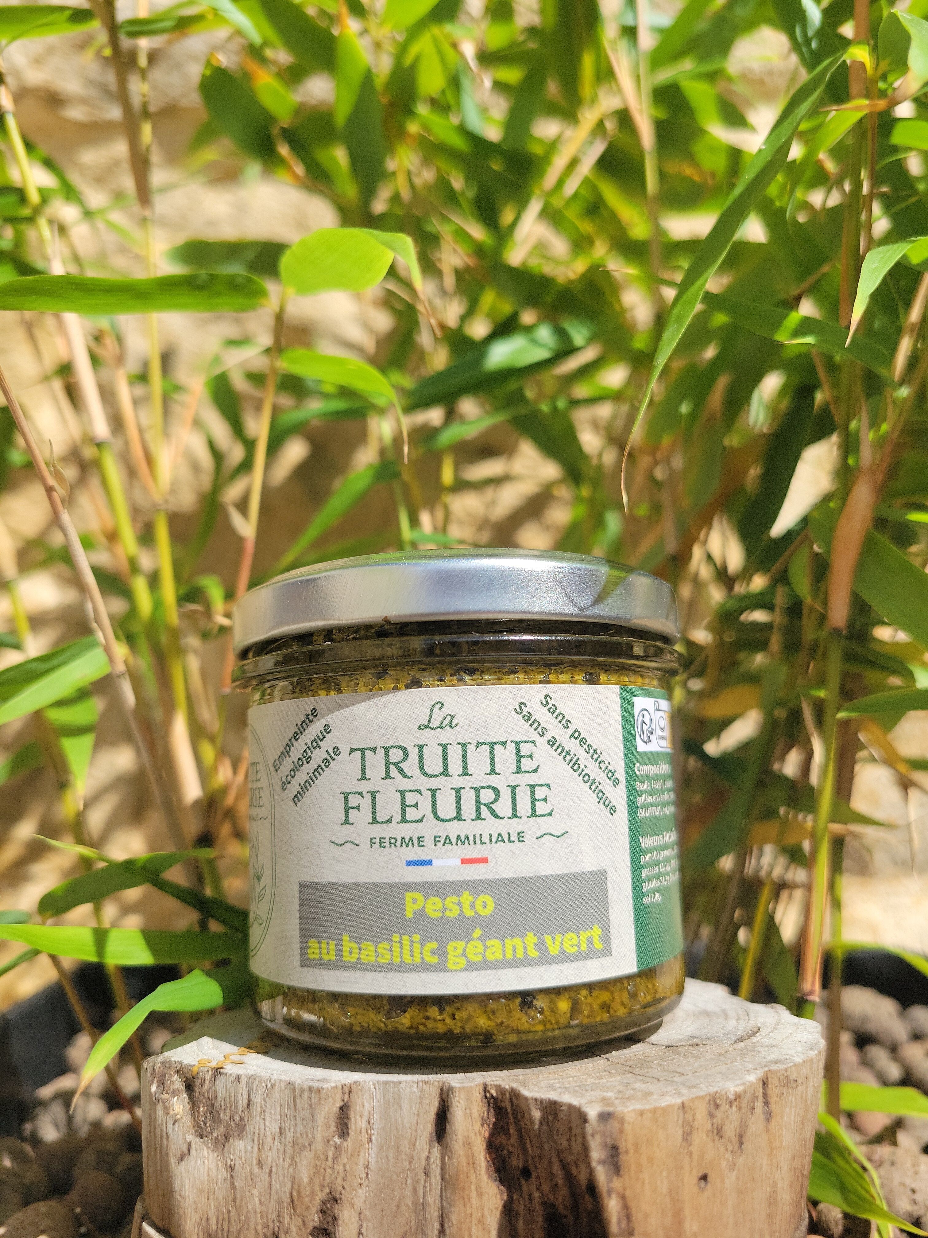 Pesto au basilic géant vert