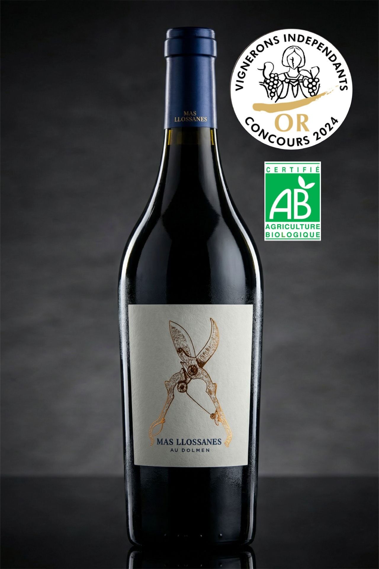 AU DOLMEN 2020 - Organic & biodynamic high-altitude red wine - Mas Llossanes