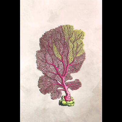 Botanical Stories 019 (20x30 cm)