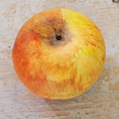 Eine Keramikstudie eines Coxes Apples