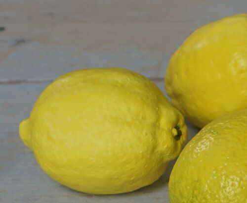 A Pottery Study of a Lemon