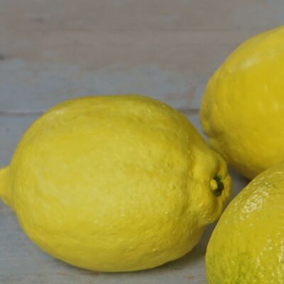 Un estudio de cerámica de un limón