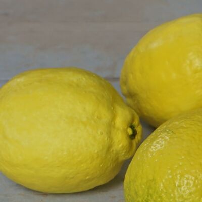 Un estudio de cerámica de un limón