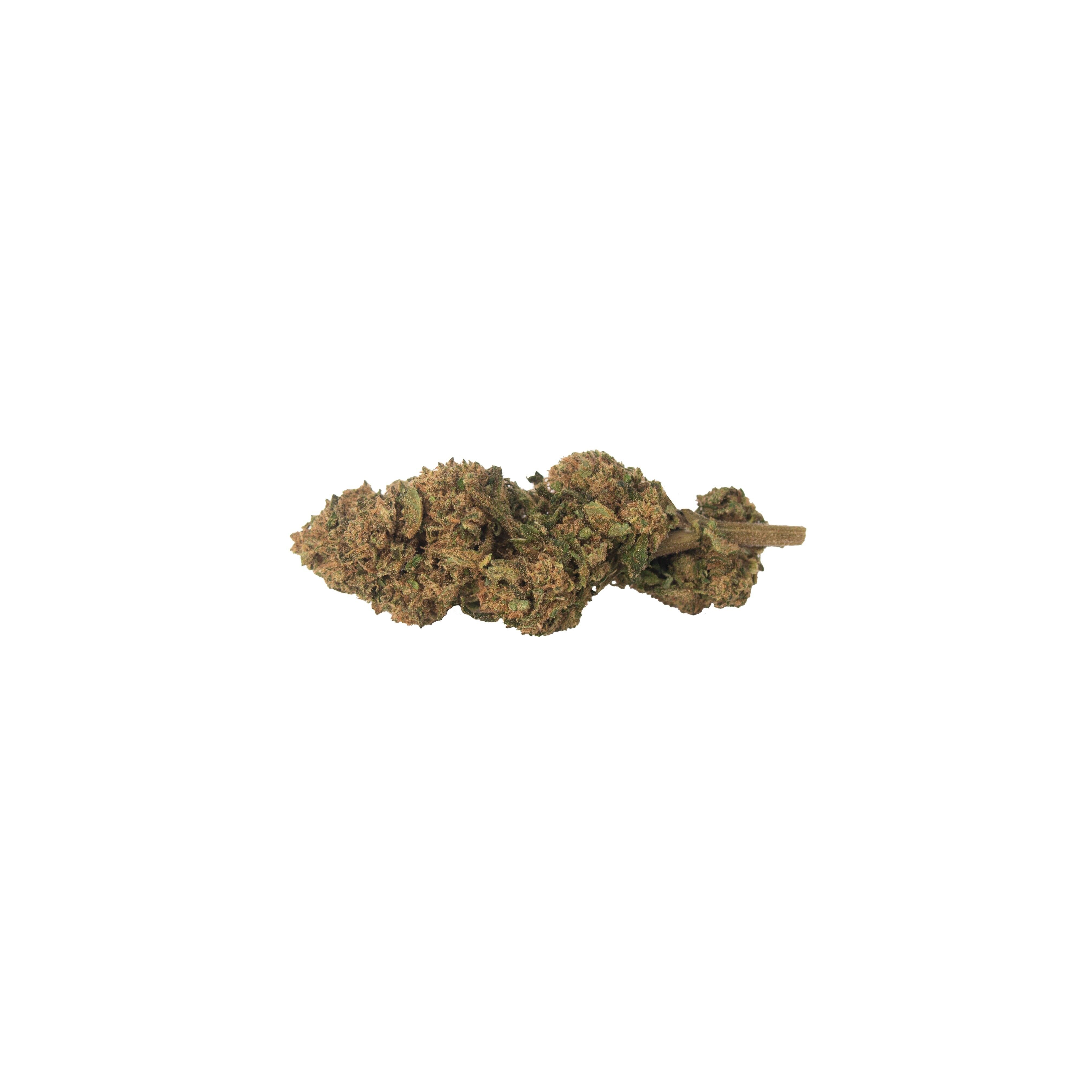 Genetik Strawberry, 5g