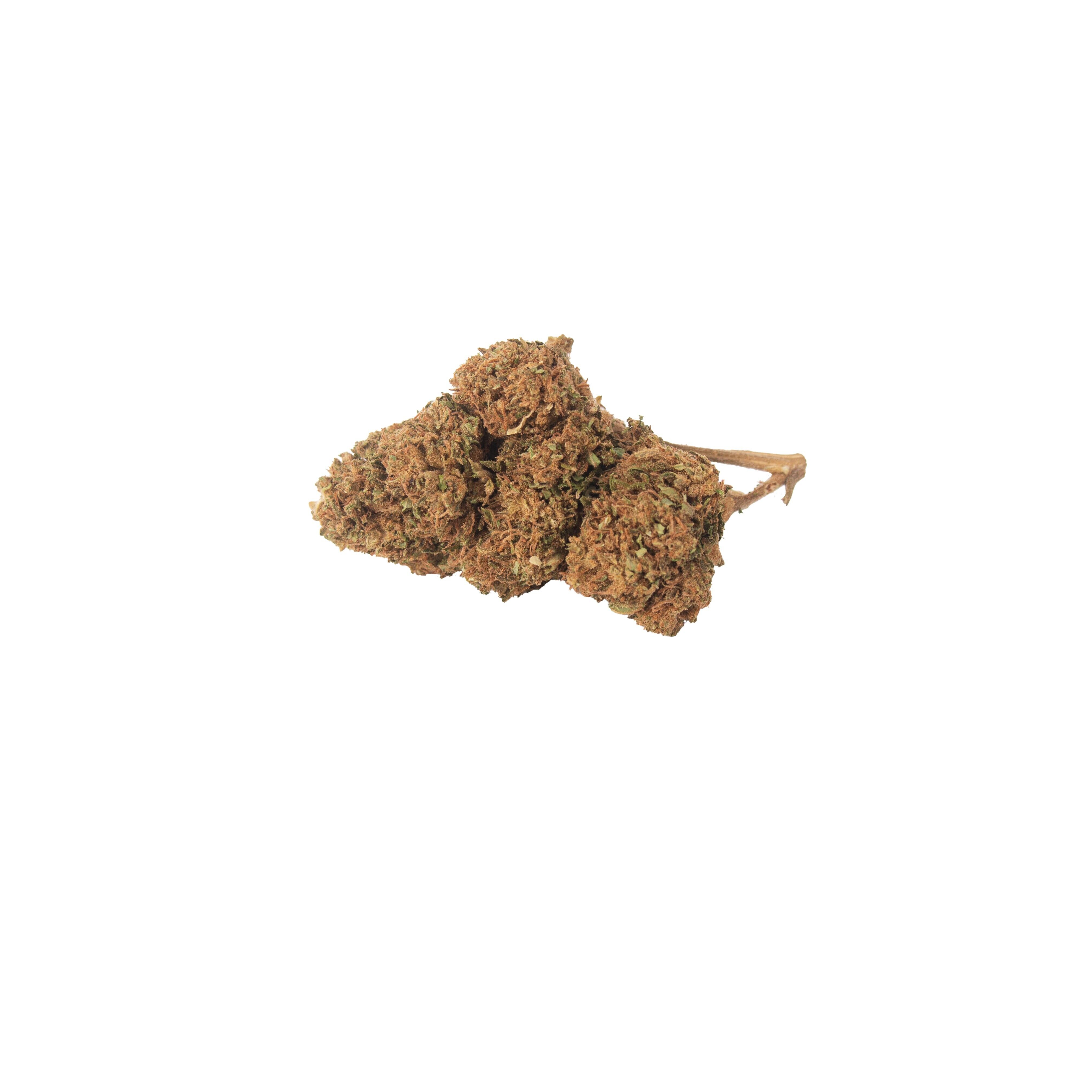 Genetik Harlequin, 5g