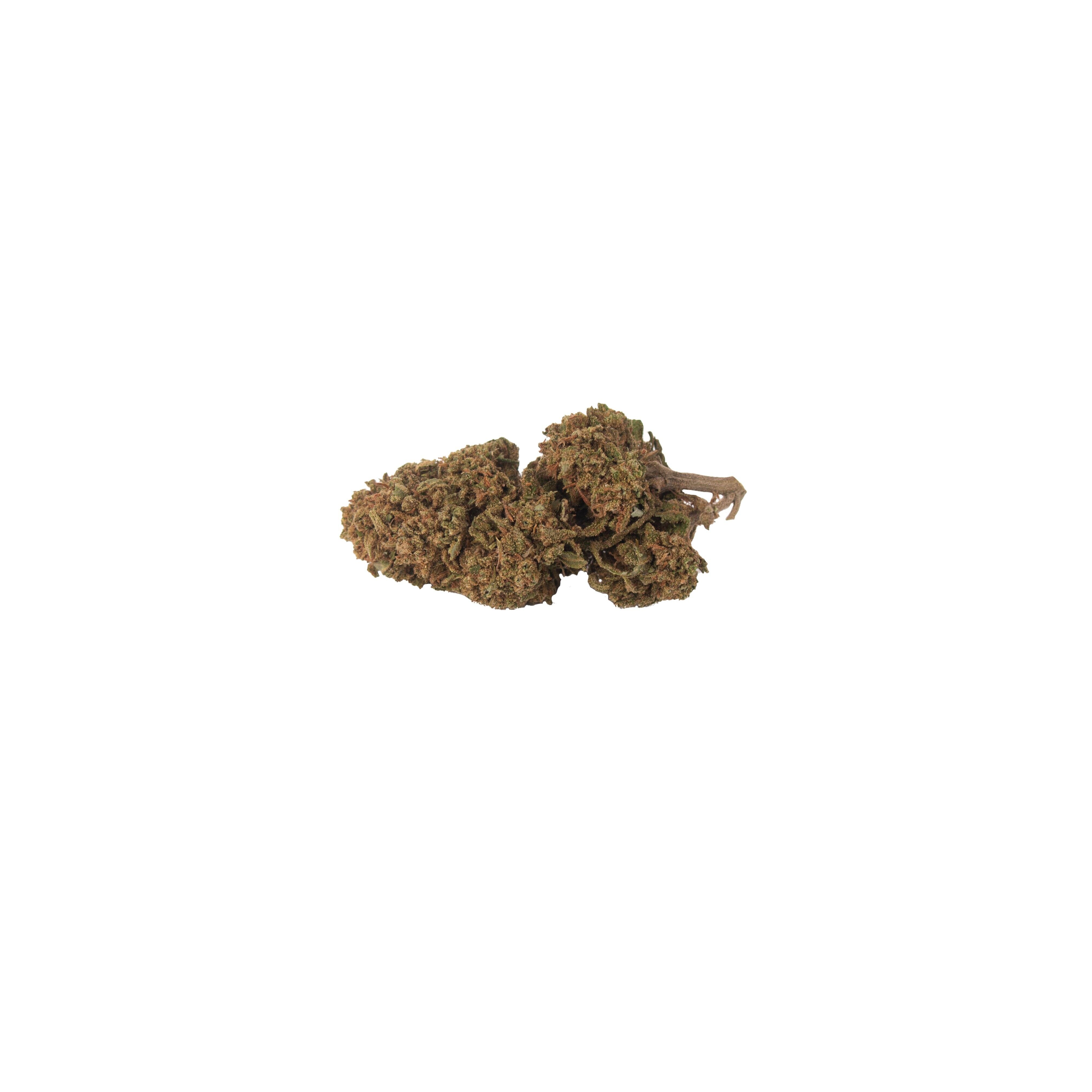 Genetik Critical, 5g