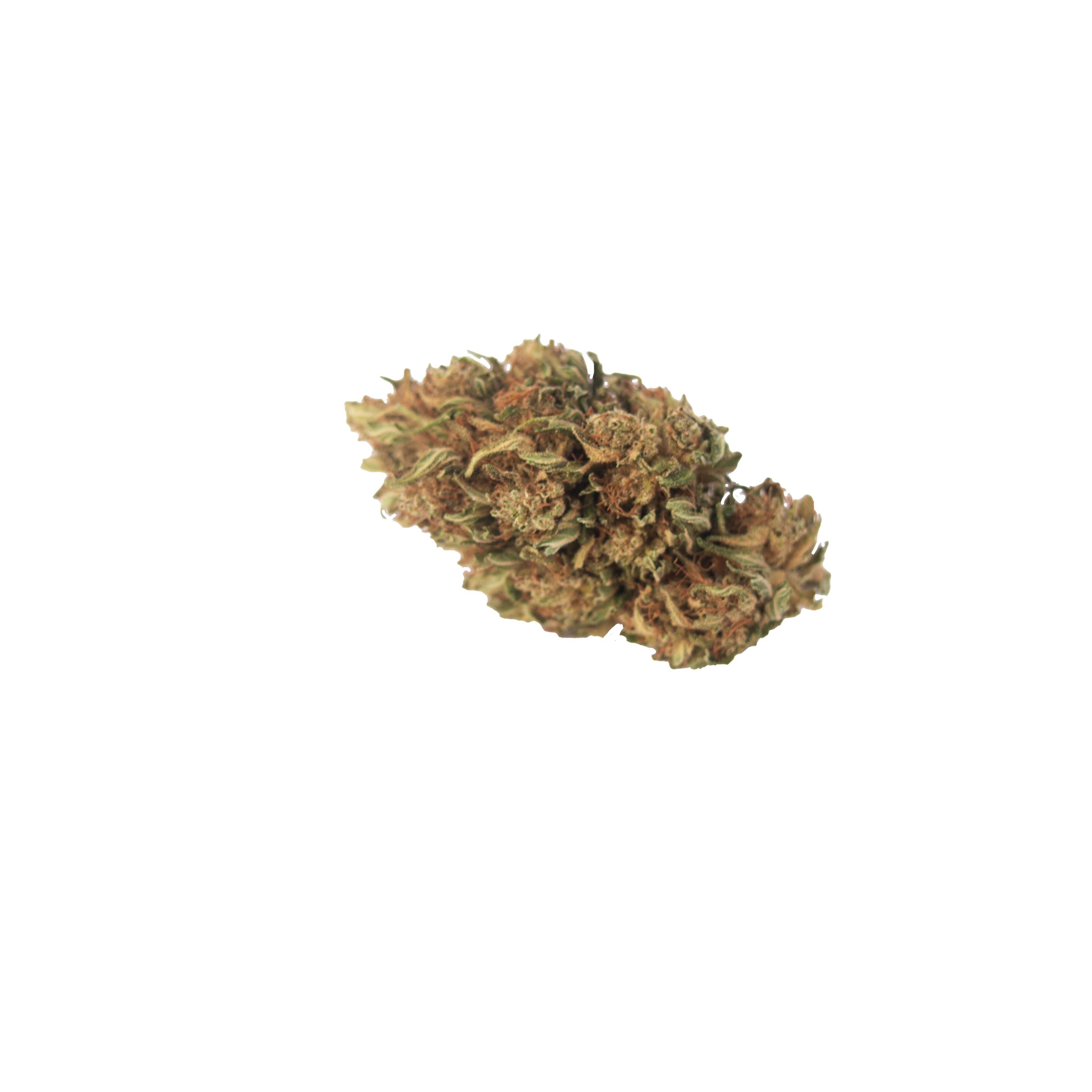 Genetik AK 47, 5g