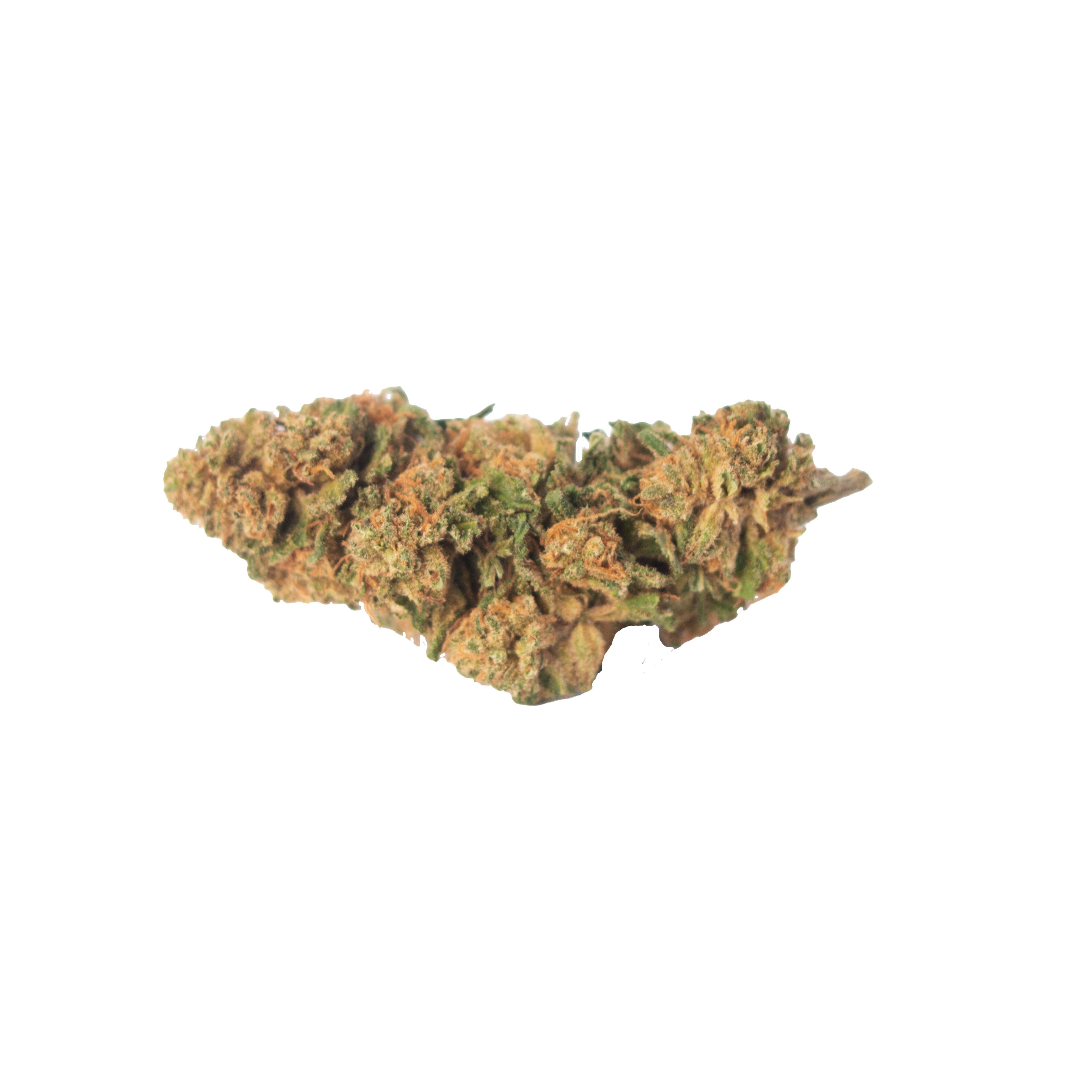 Genetik Amnesia, 5g