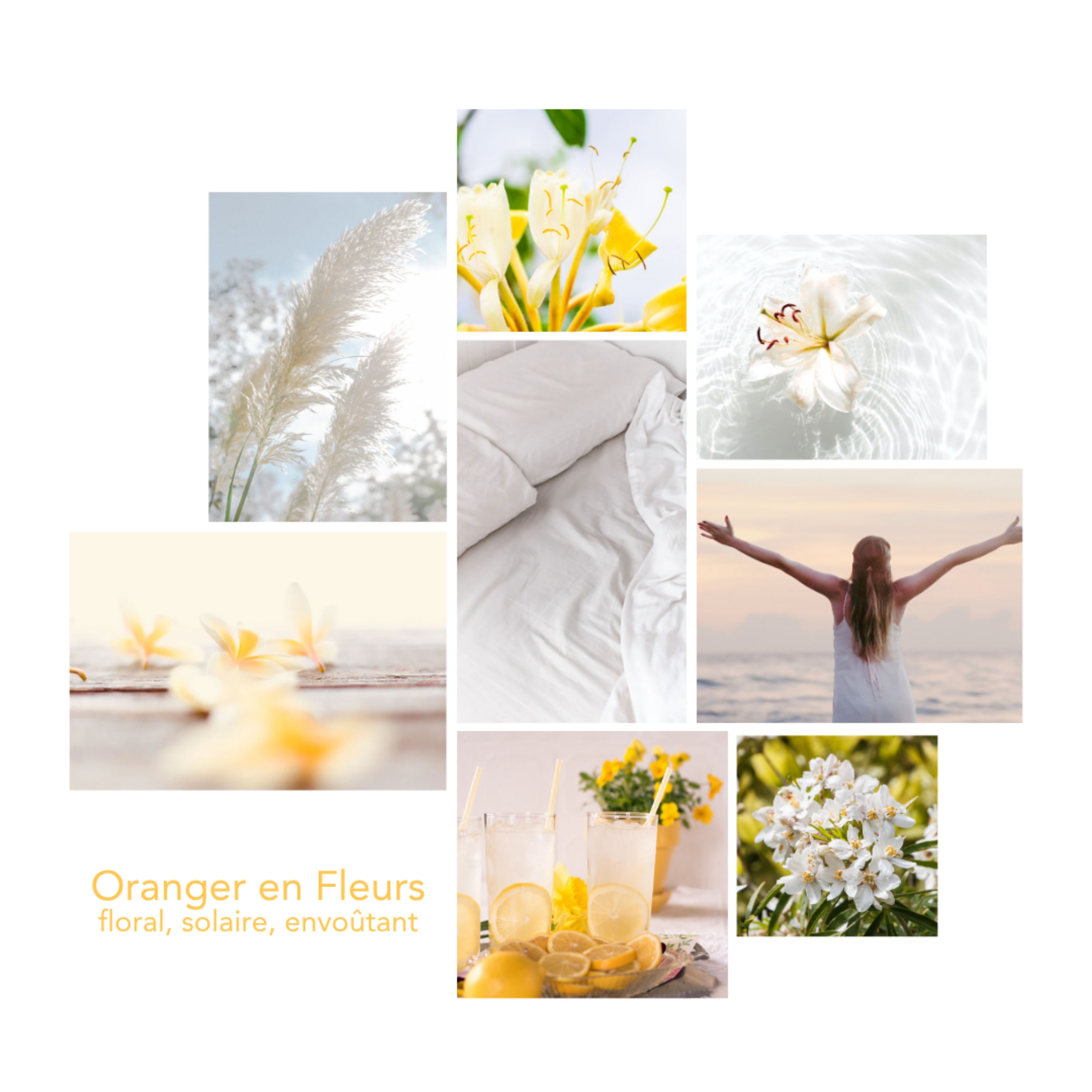 Lessive Oranger en Fleurs 300mL