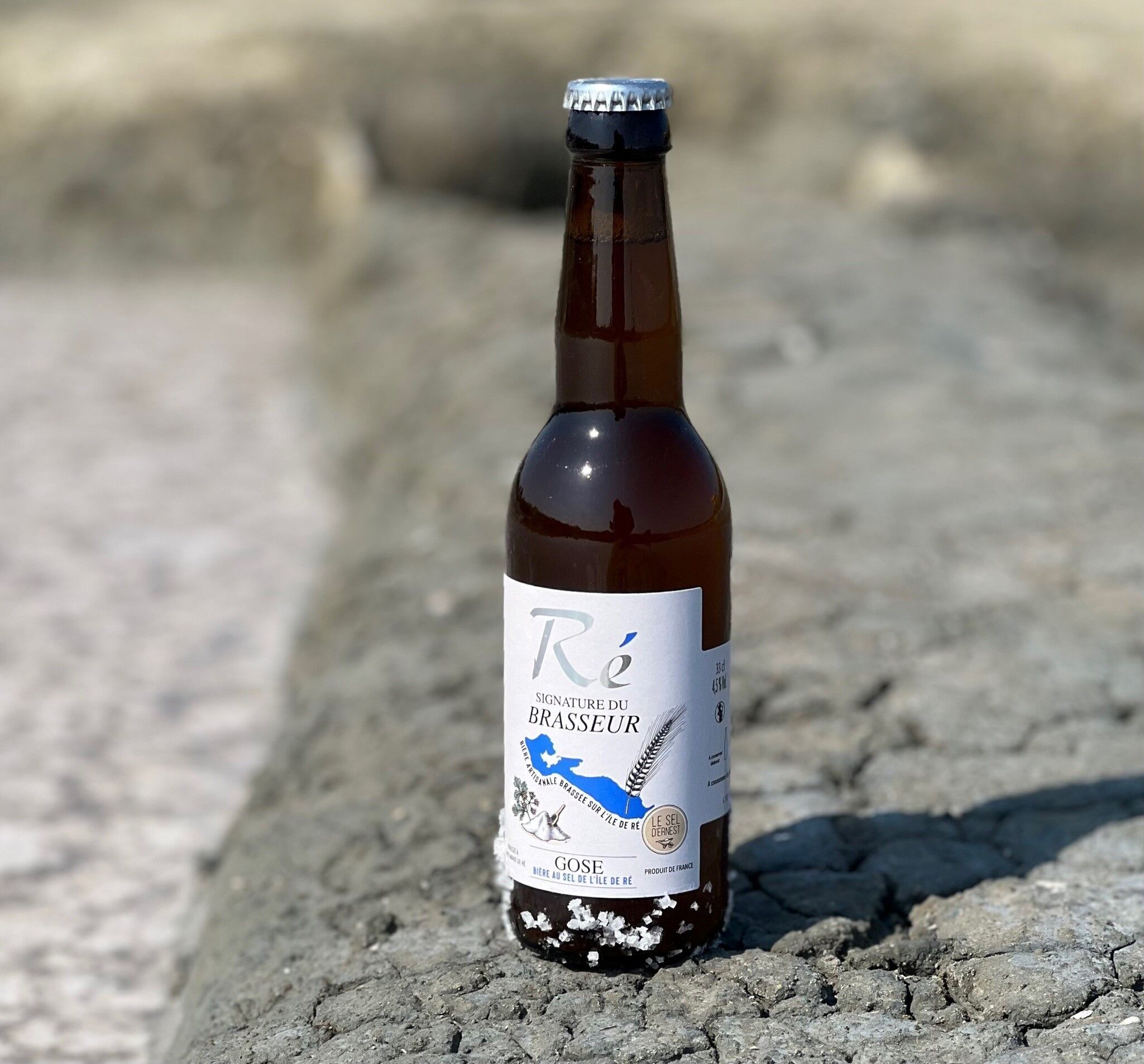 GOSE beer with Fleur de Sel from the Ile de Ré - 4.5% vol.