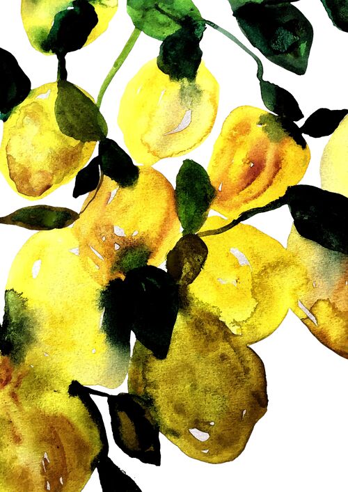 Plansch "Lemontree liten"