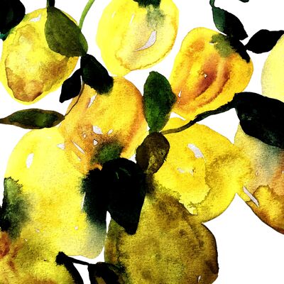 Plansch "Lemontree liten"