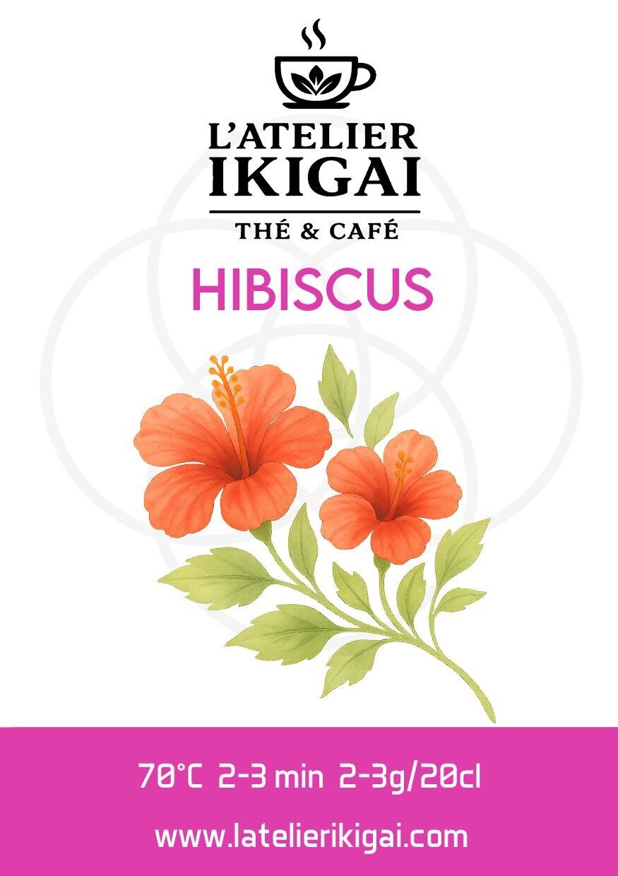 Hibiscus flowers