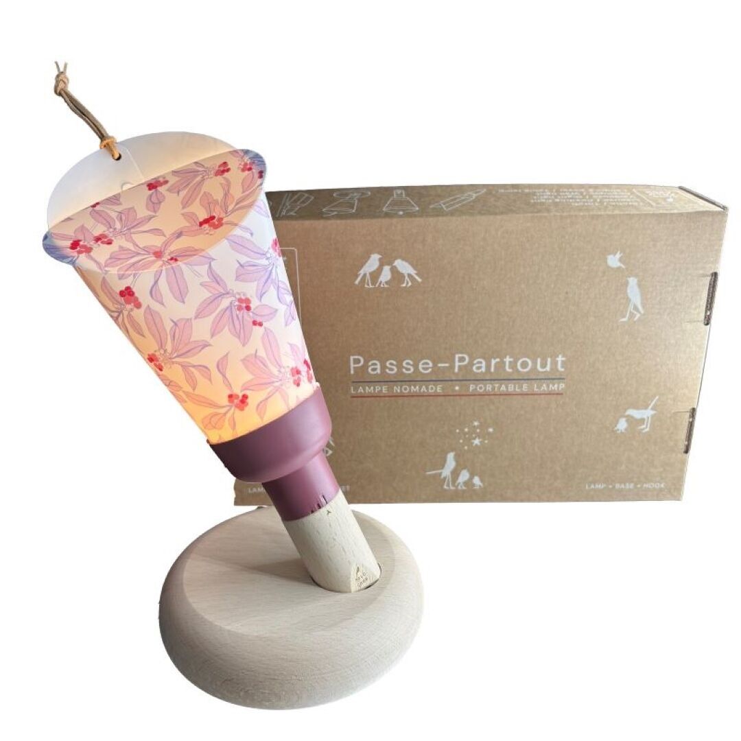 Viviane 5-in-1 portable lamp