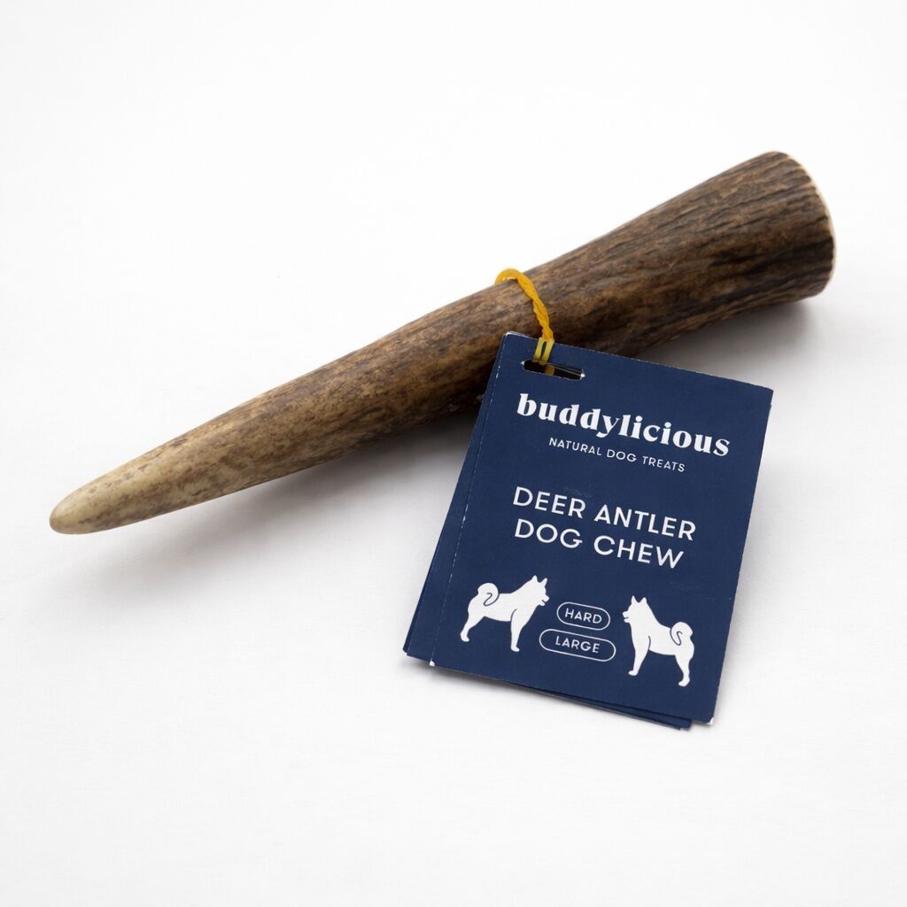 Cornamenta dura – Cornamenta de ciervo entera masticable para perros