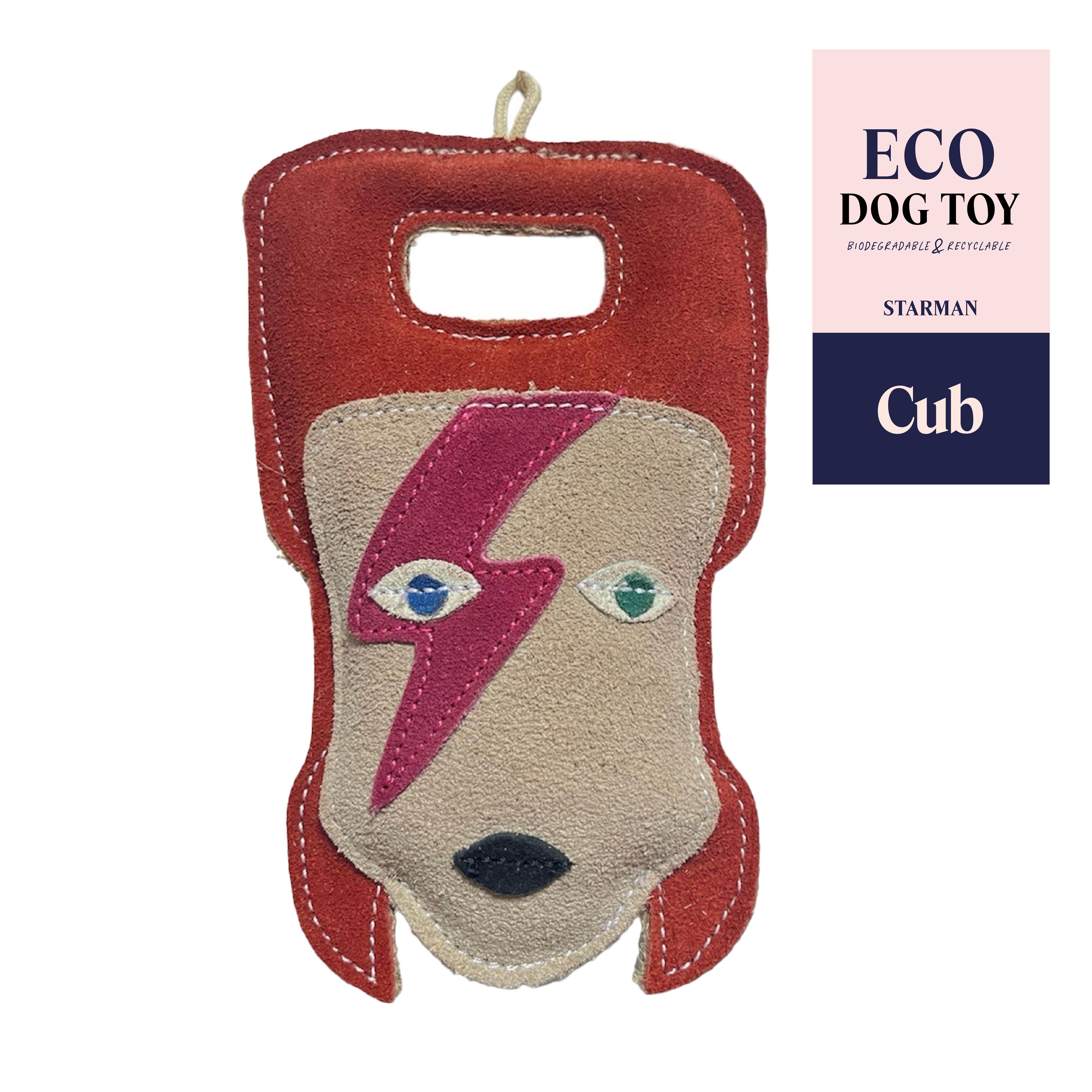 Starman (Limitierte Auflage)