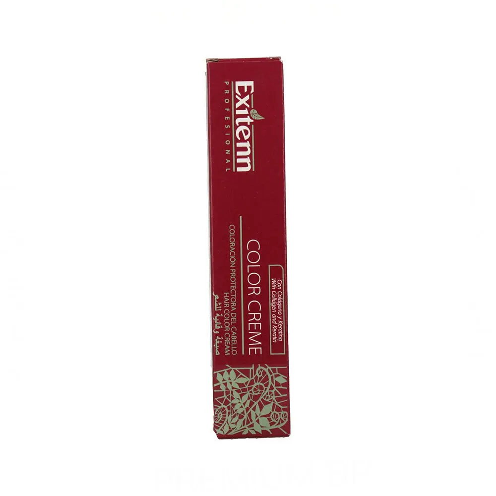 Achat Exitenn Color Creme 60ml Couleur 10 n2 en gros