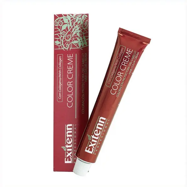 Achat Exitenn Color Creme 60ml Teinte 11 1 Blond cendré en gros