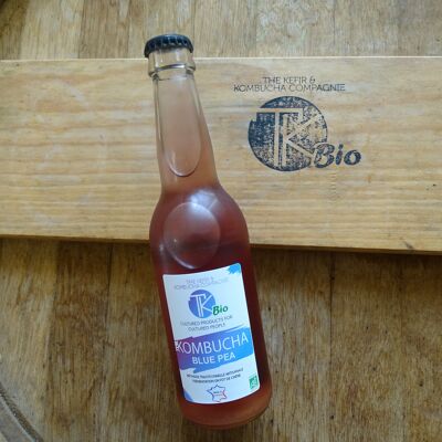 Kombucha Blaue Erbse