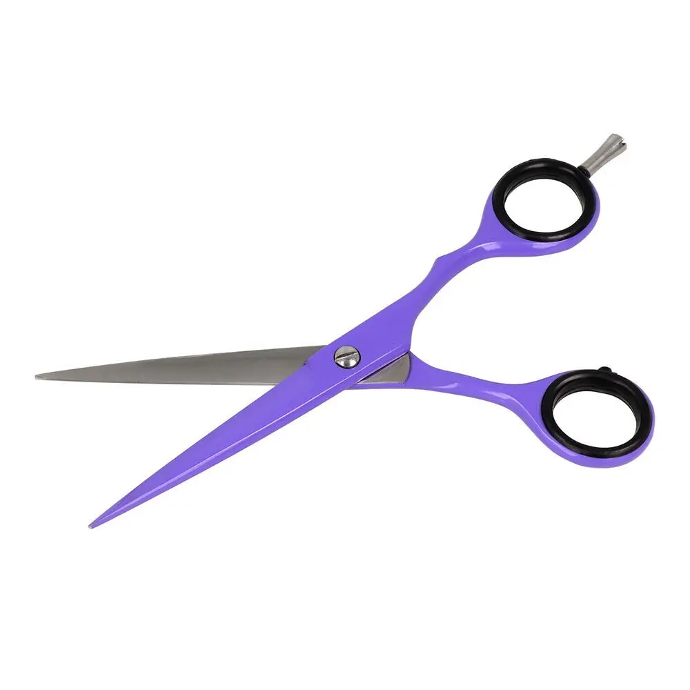 Buy wholesale Zenish Professional Scissors Neon Violet 6 inches