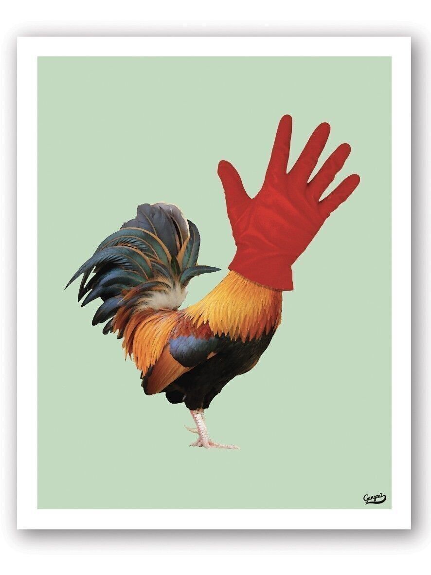 Poster Coqmain - Collezione Curiosito