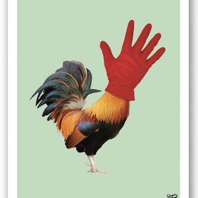 Affiche Coqmain - Collection Curiosito