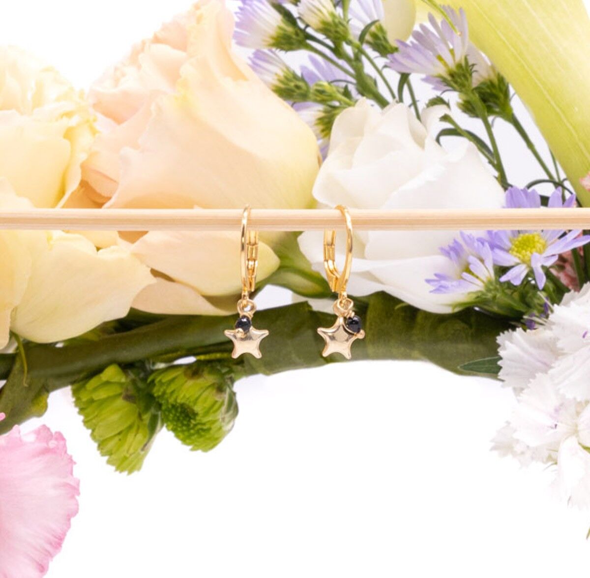 Polar star earrings - Black onyx